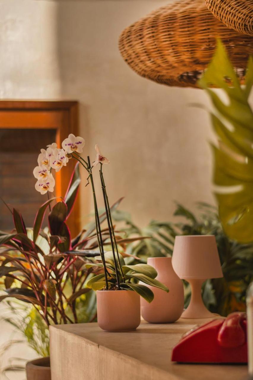 Alcobas Del Mar Hotel Isla Holbox ภายนอก รูปภาพ